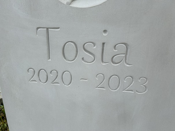 Antonina Cieśluk 2023 Ełk - Grobonet - Wyszukiwarka osób pochowanych