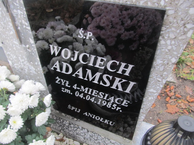 Wojciech ADAMSKI 1984 Ełk - Grobonet - Wyszukiwarka osób pochowanych