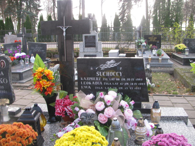 Grób KAZIMIERZ SUCHOCKI