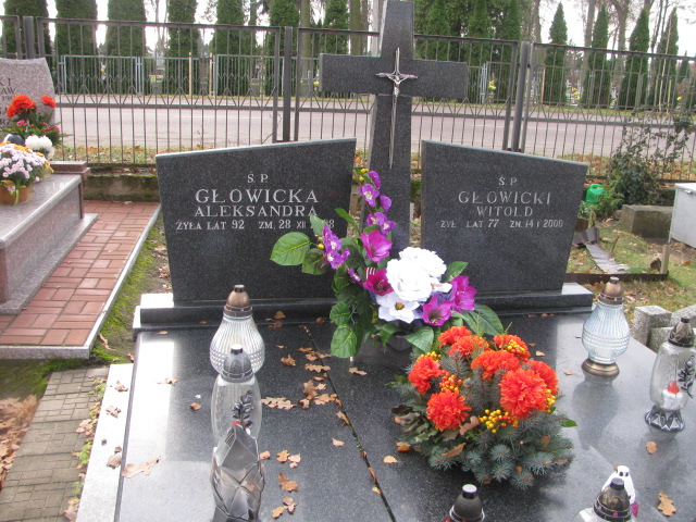 Grób Aleksandra Głowicka