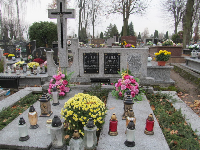 Grób LUDWIK MEJŁUN