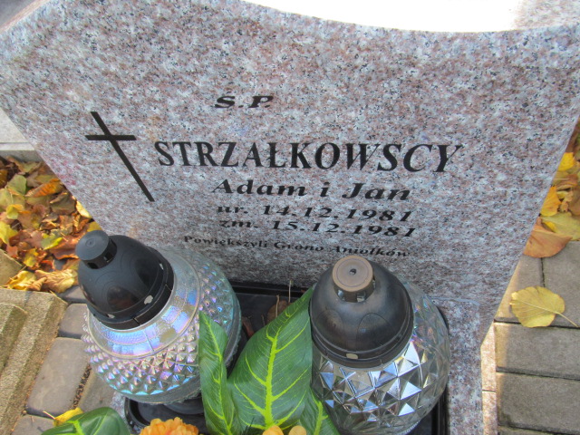 Adam STRZAŁKOWSKI 1981 Ełk - Grobonet - Wyszukiwarka osób pochowanych