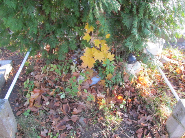  NN Ełk - Grobonet - Wyszukiwarka osób pochowanych