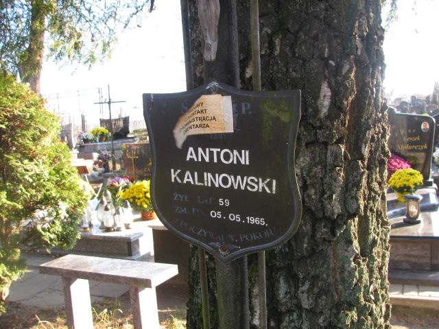 Antoni Kalinowski 1906 Ełk - Grobonet - Wyszukiwarka osób pochowanych