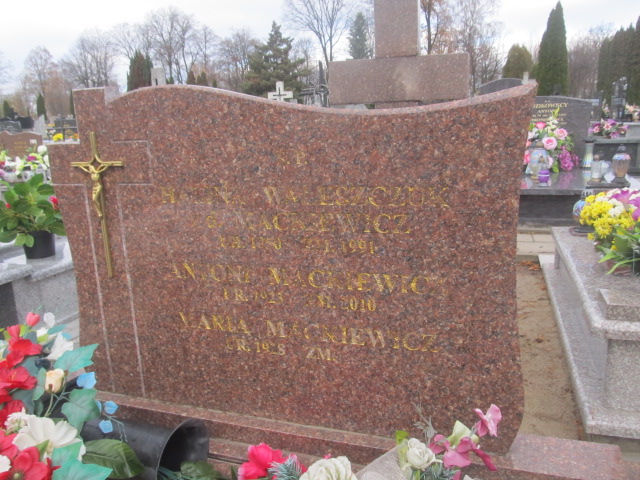 Antoni MACKIEWICZ 1923 Ełk - Grobonet - Wyszukiwarka osób pochowanych