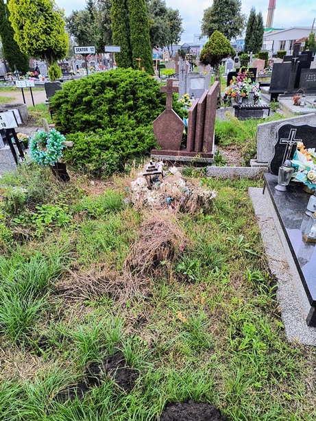 Teodoria ZIELIŃSKA 1905 Ełk - Grobonet - Wyszukiwarka osób pochowanych